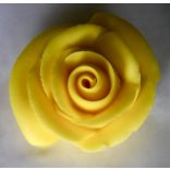 TruColor plant-based food colouring - Yellow 9g