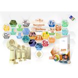 NICS One Year Product Nyomelemek kollagénnel + Vitaminok + Inulin + élőflóra