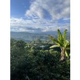 Koala Single Origin Kolumbia koffeinmentes 250g