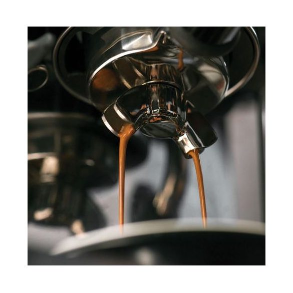 Sage SES880BSS THE BARISTA TOUCH™ Eszpresszó kávéfőző érintőképernyős kijelzővel és kávédarálóval - INOX